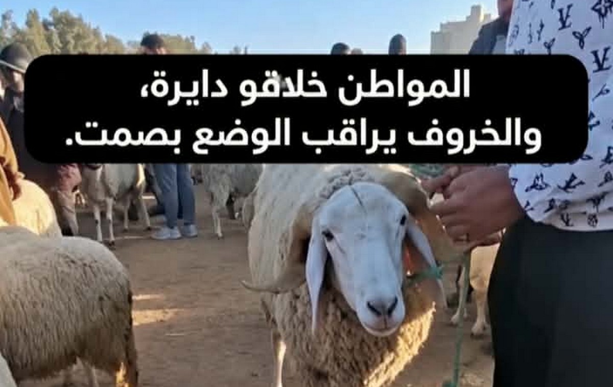 صفاقس أسبوع قبل العيد: المواطن 