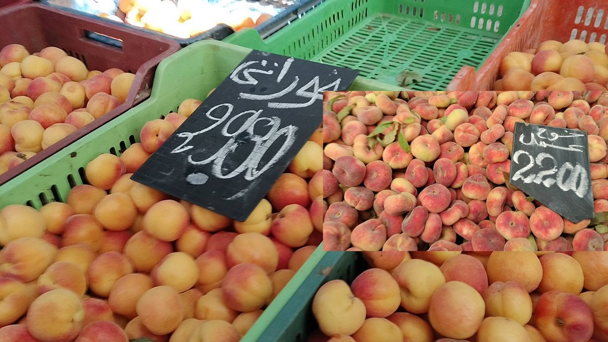 صفاقس : هل  هي  بداية  انفراج اسعار  الغلال والخضر