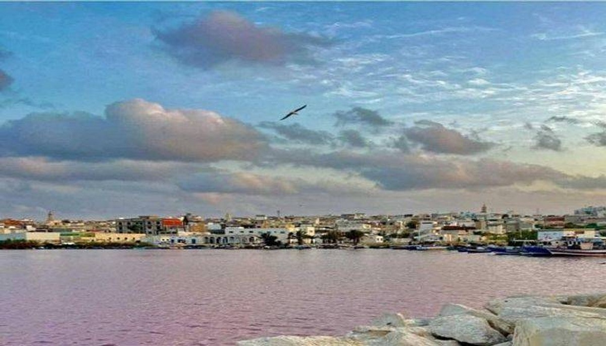 رصد درجة تركيز تلوث كيميائي مرتفعة بمياه خليج المنستير