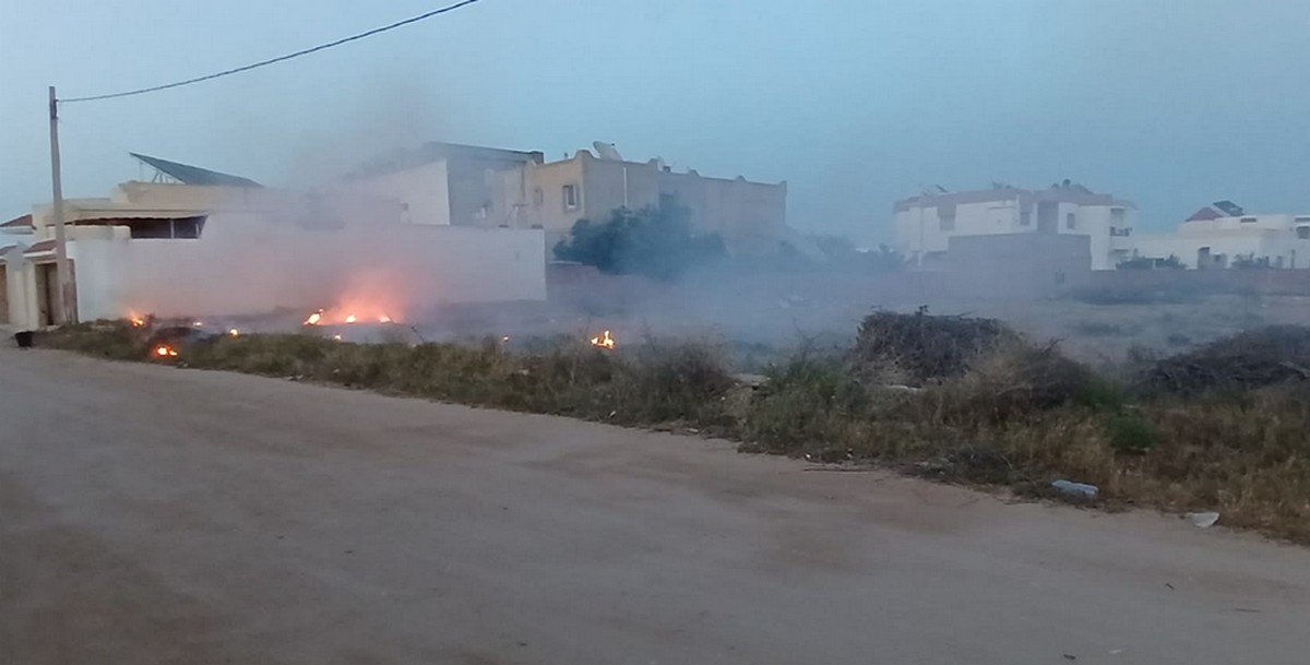 صفاقس :بالفيديو  طريق  سيدي  منصور ...اوساخ وحرائق وحشرات  سامّة