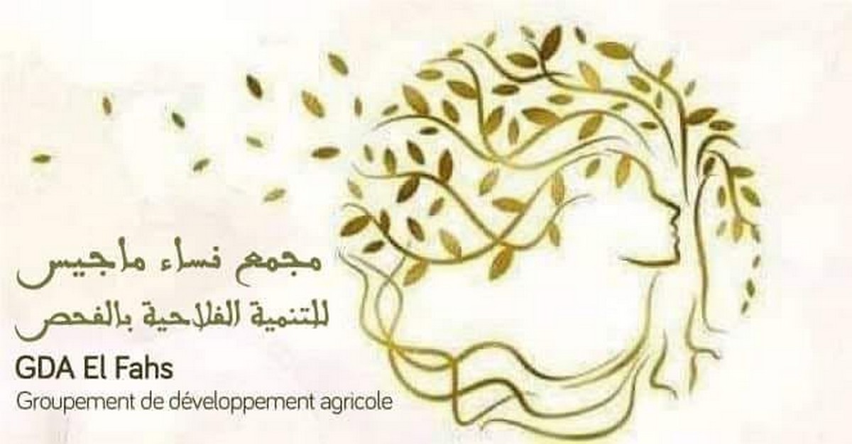 اختيار المجمع النسائي 