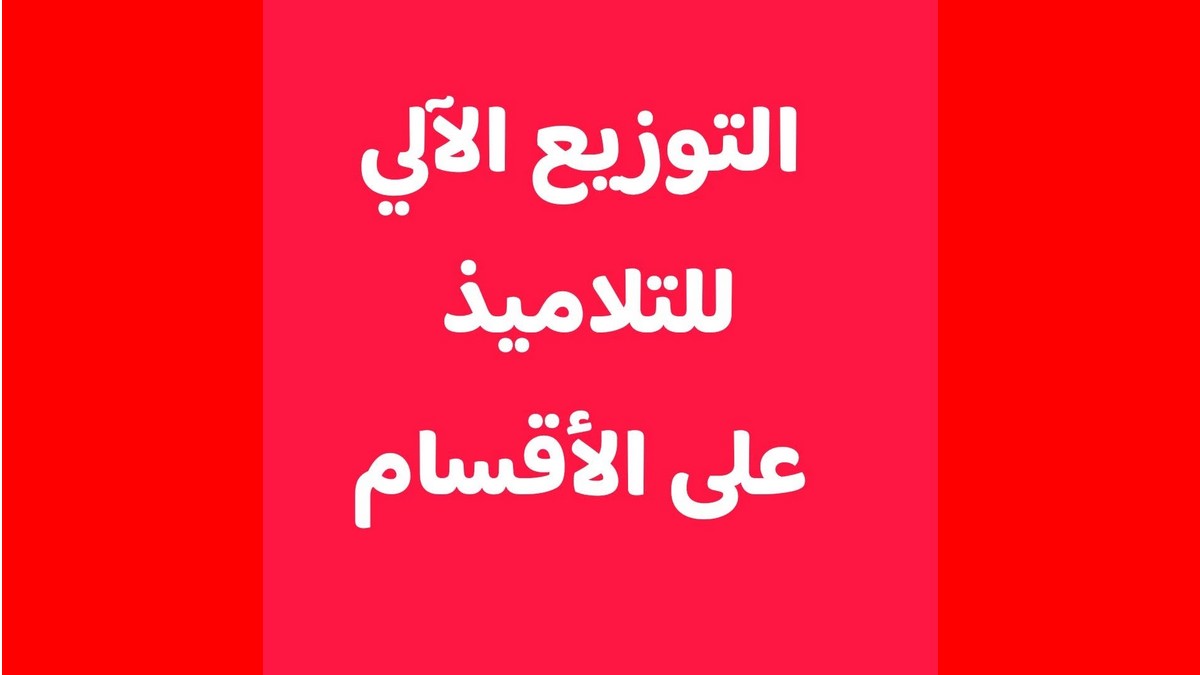 التوزيع الآلي للتلاميذ: حين يصبح التلميذ مجرد رقم!…معز الماجري