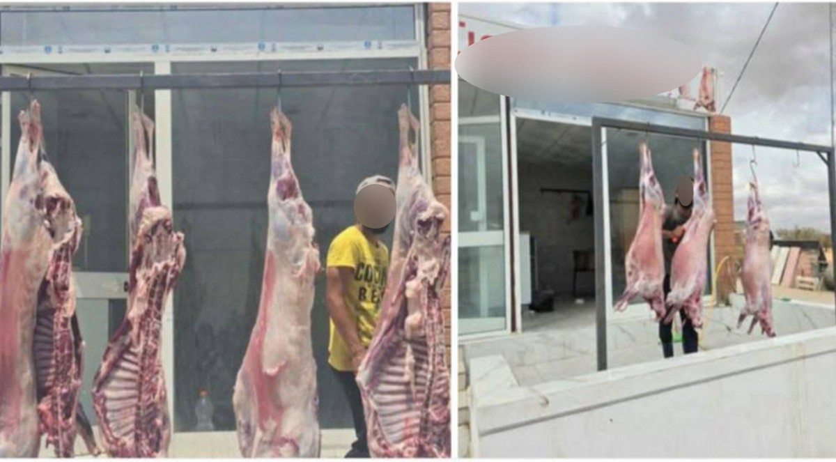 صفاقس : حرب  اسعار  بين باعة  اللحوم الحمراء ...فماذا  تغيّر  في  المشهد فجأة ؟